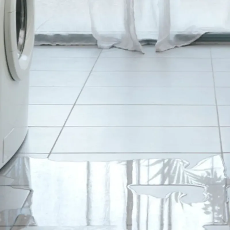 Appliance Leak Cleanup in Pella, IA