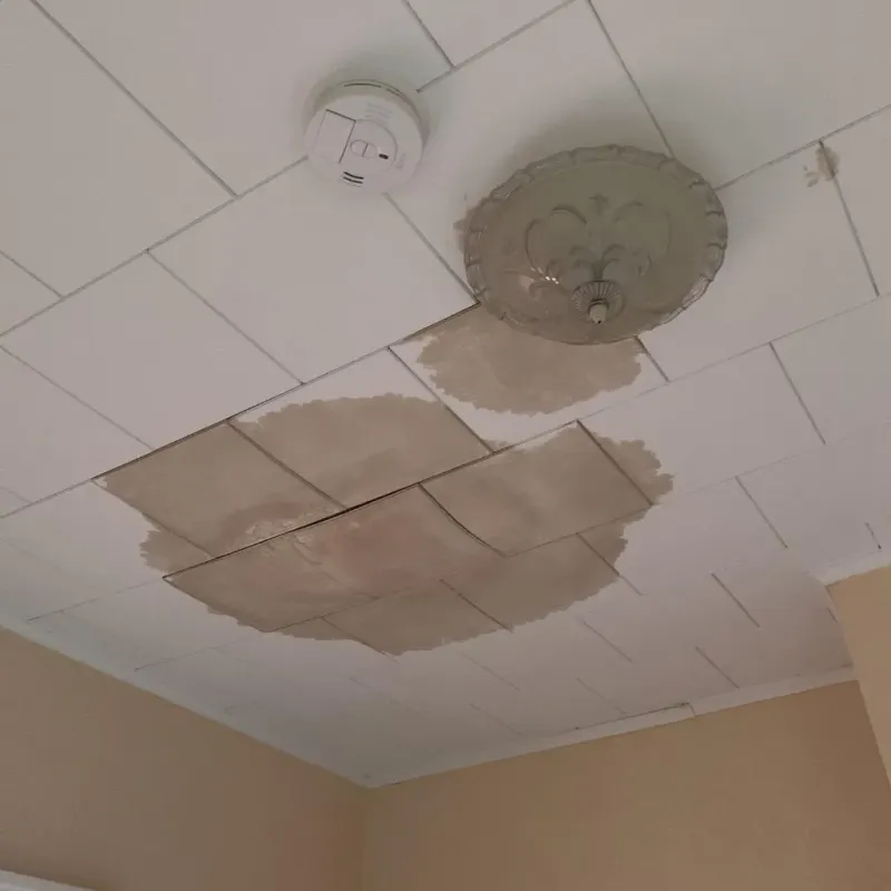 Ceiling Water Damage Repair in Pella, IA