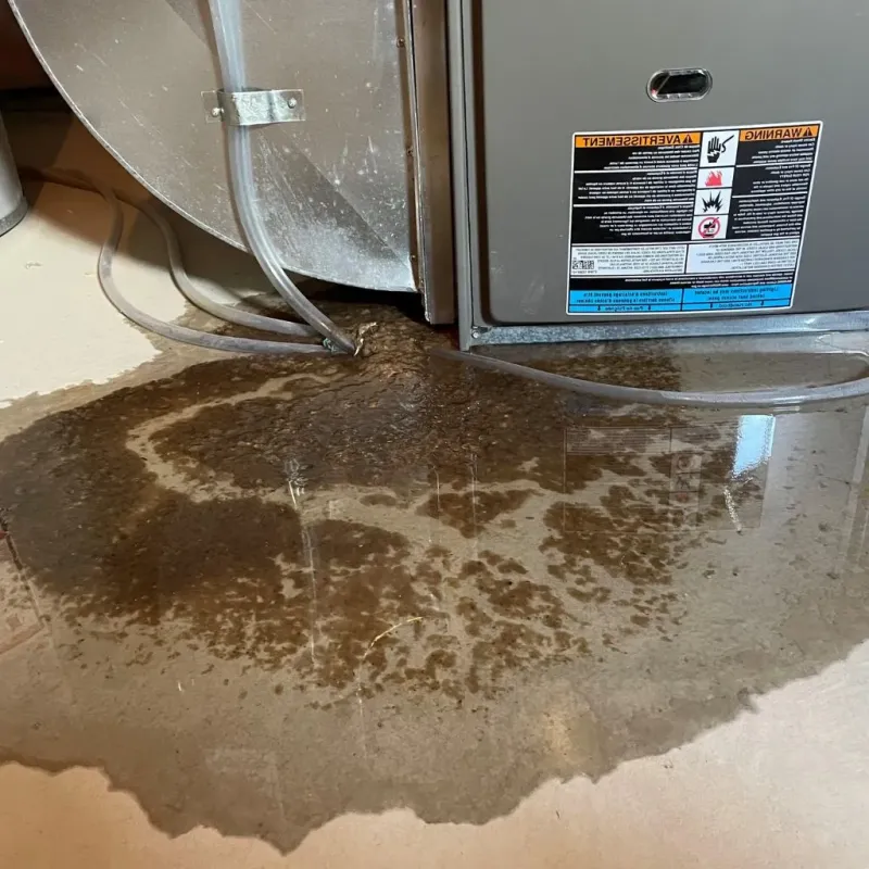 Pipe Burst and Leak Restoration in Pella, IA