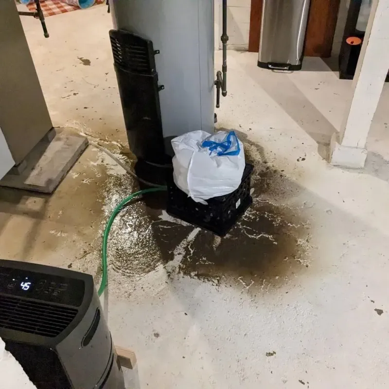 Sewage Backup Cleanup Service in Pella, IA